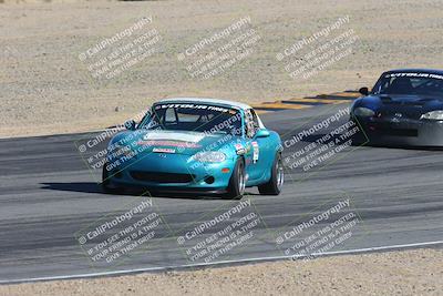 media/Feb-18-2024-Nasa AZ (Sun) [[891db5b212]]/7-Race Group A/Session 1 Turn 12 Exit-Bowl Entry/